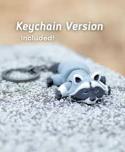 Riggly Raccoon Articulated Fidget Raccoon - Keychain - Ludo 3D Printed Flexi 3d model
