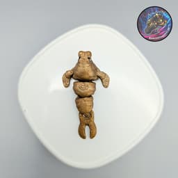 nano flexi walrus 3d model