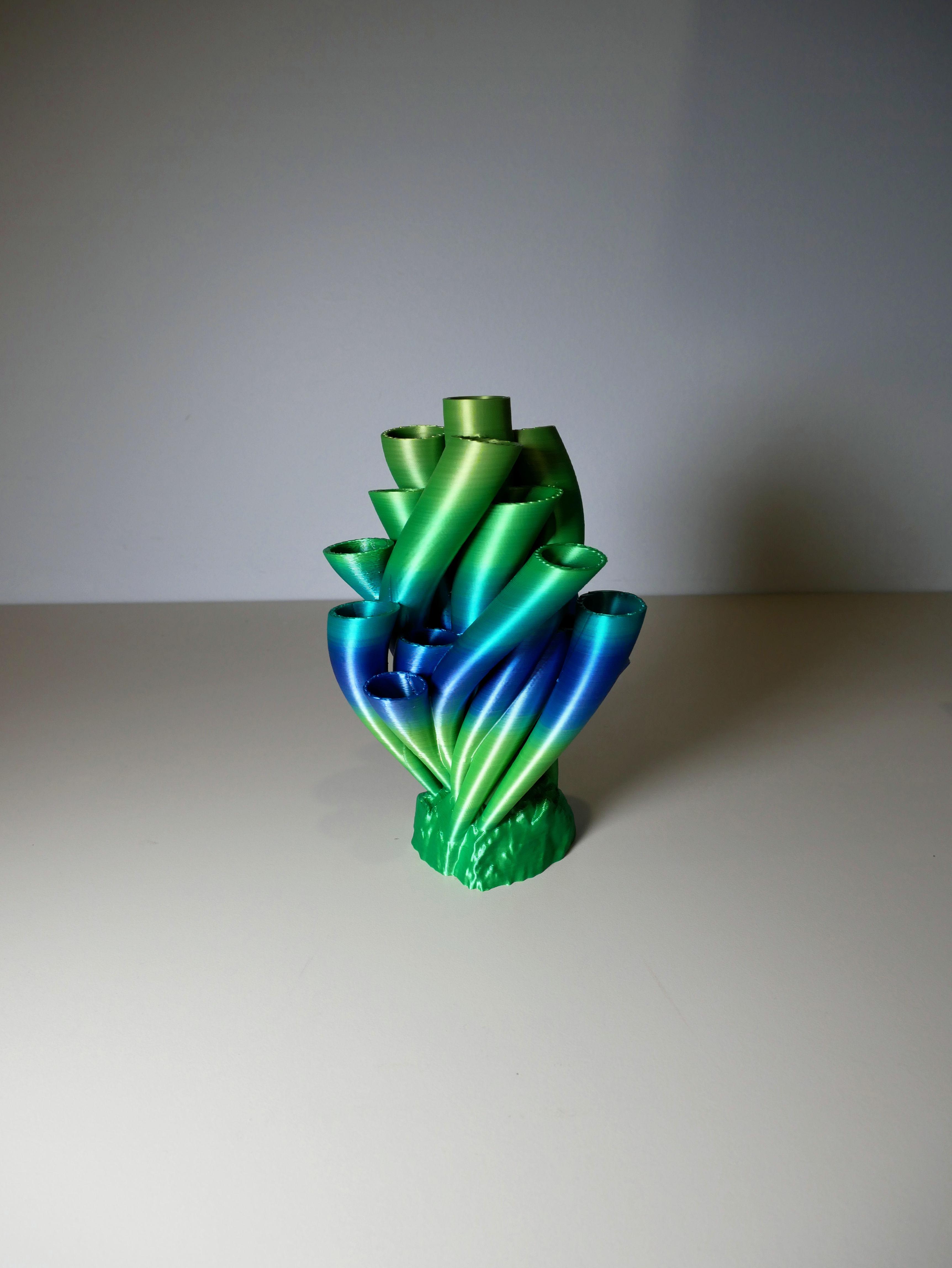 Coral Vase 3d model