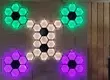 DIY Hex Nano leaf like LED panels 3d model
