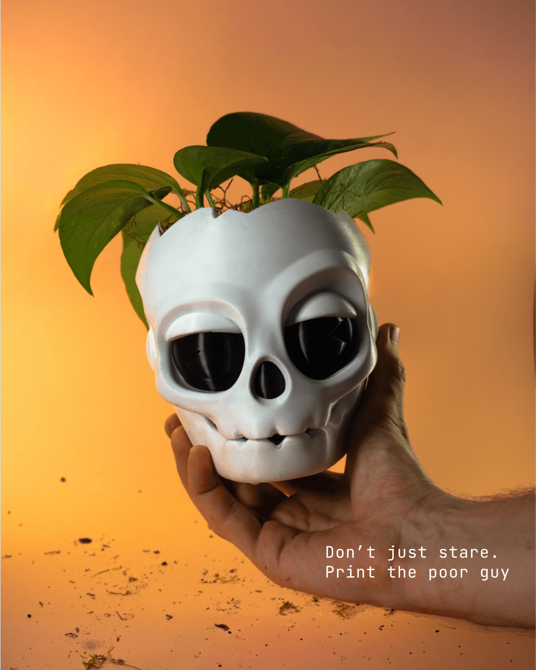 Skull planter 3d model