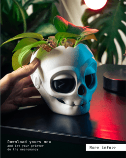 Skull planter 3d model