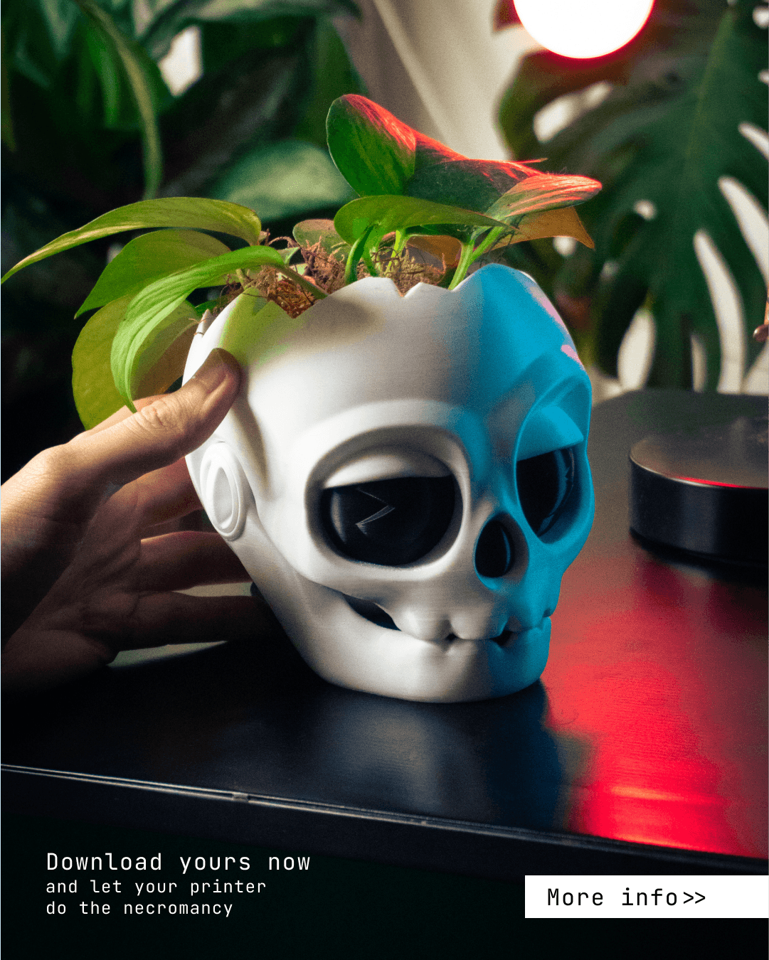 Skull planter 3d model