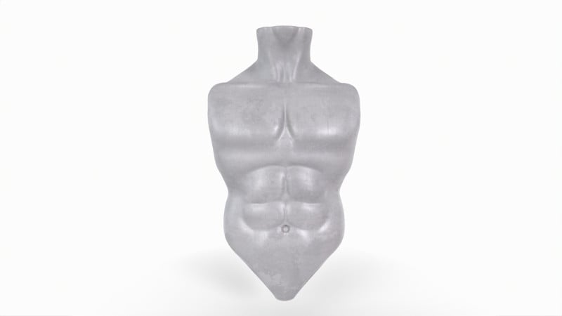Male Torso 3d model