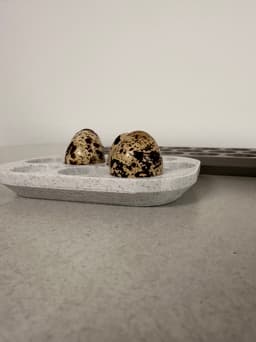 15 Quail Egg Tray 3d model
