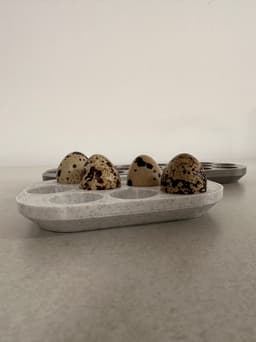 15 Quail Egg Tray 3d model