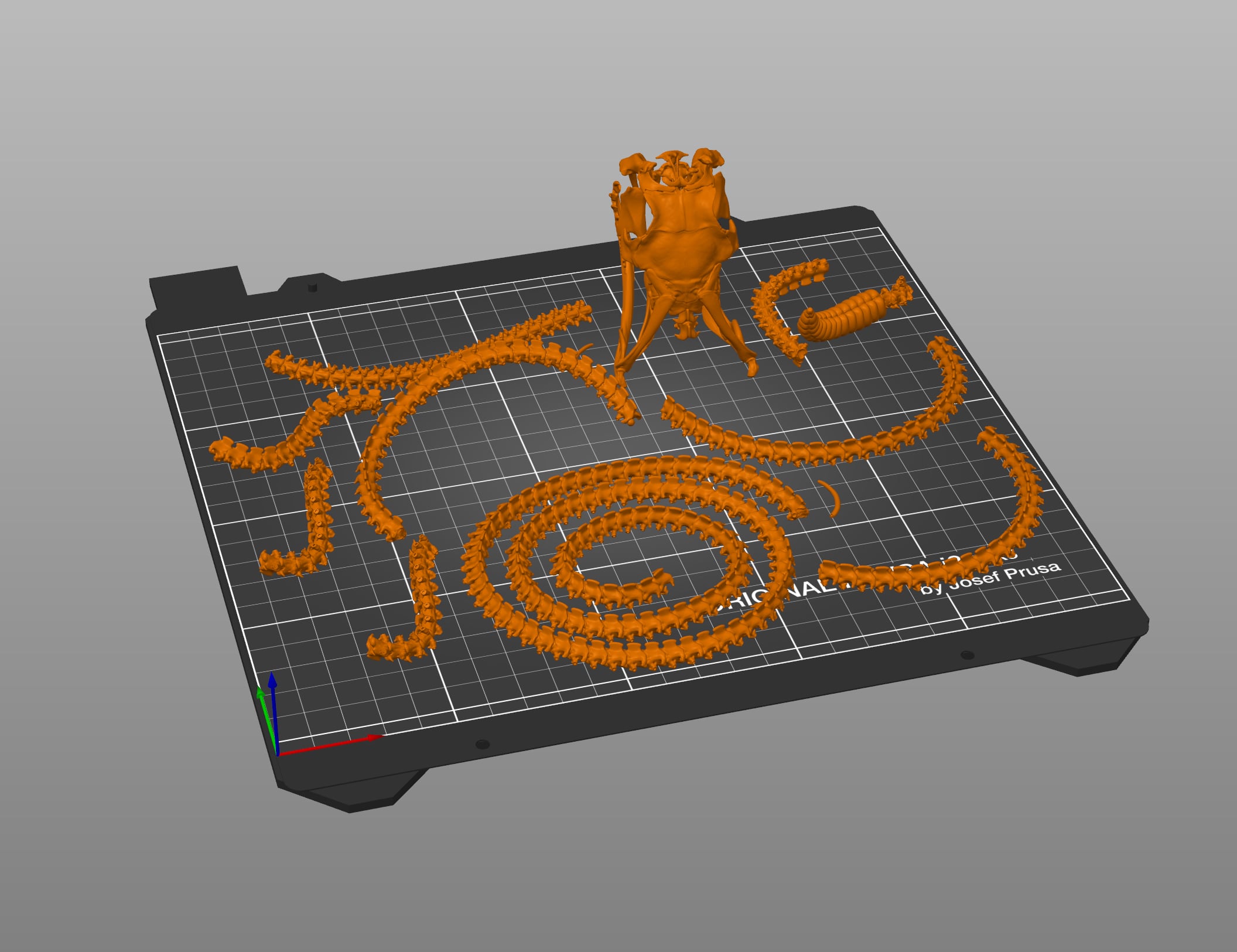 Rattlesnake Skeleton - Realistic Model 3d model