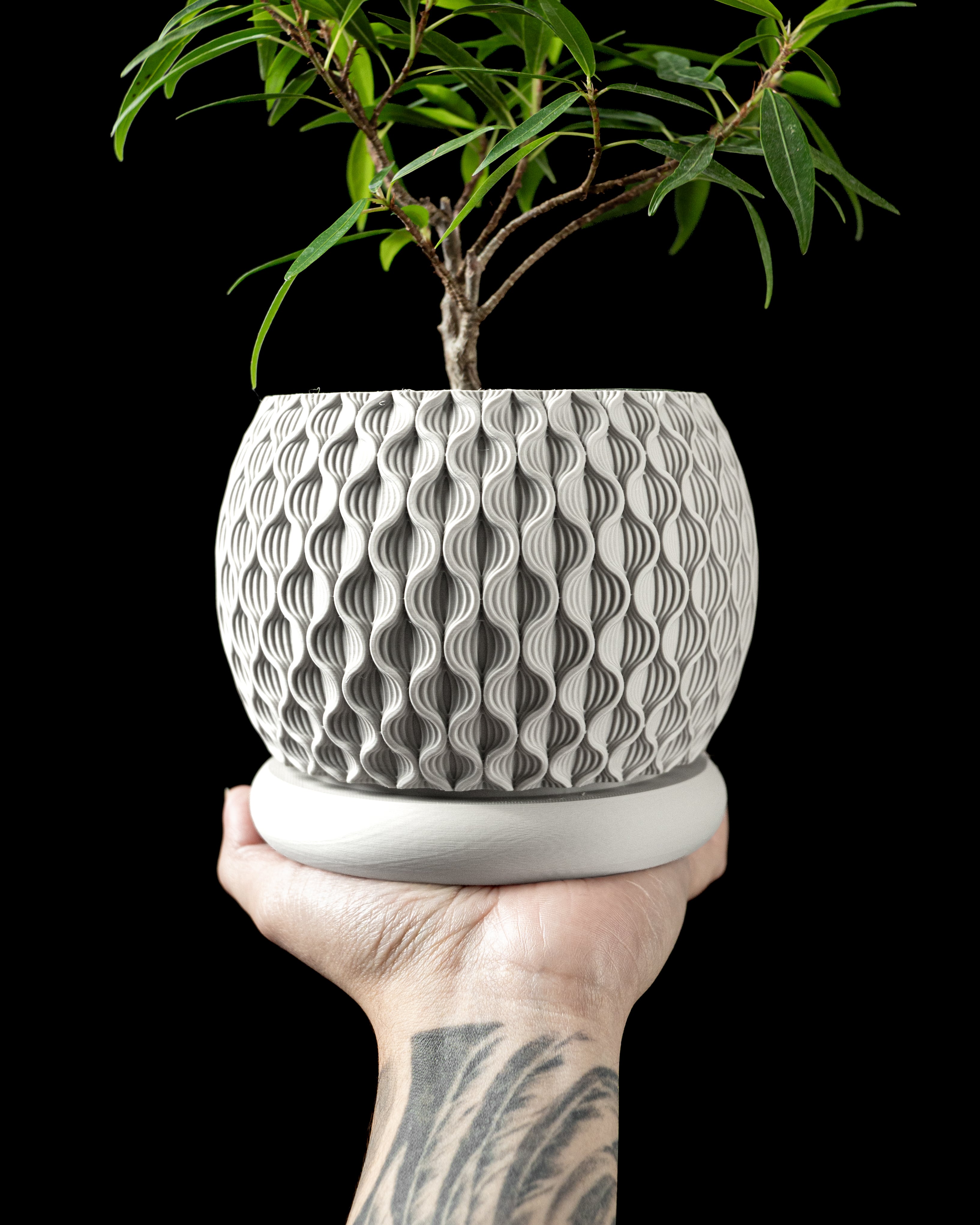 Bloom Planter Pot by MODERN MACHINE 3d model
