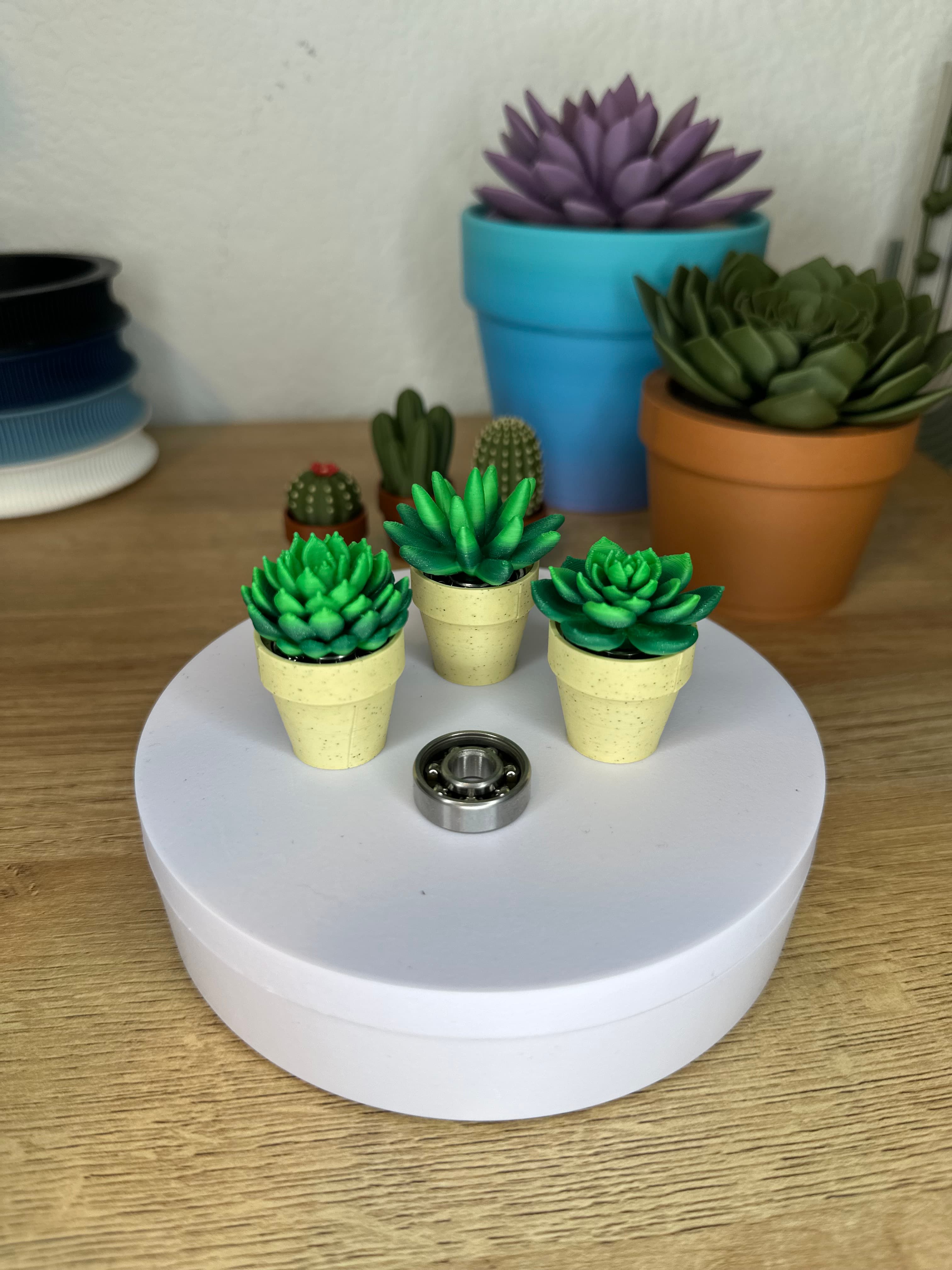 I used Sronghero3D pla - summer for the succulents and I am obsessed with how the colors laid out. The pots are polyterra marble sandstone. These printed very well with zero issues for me.