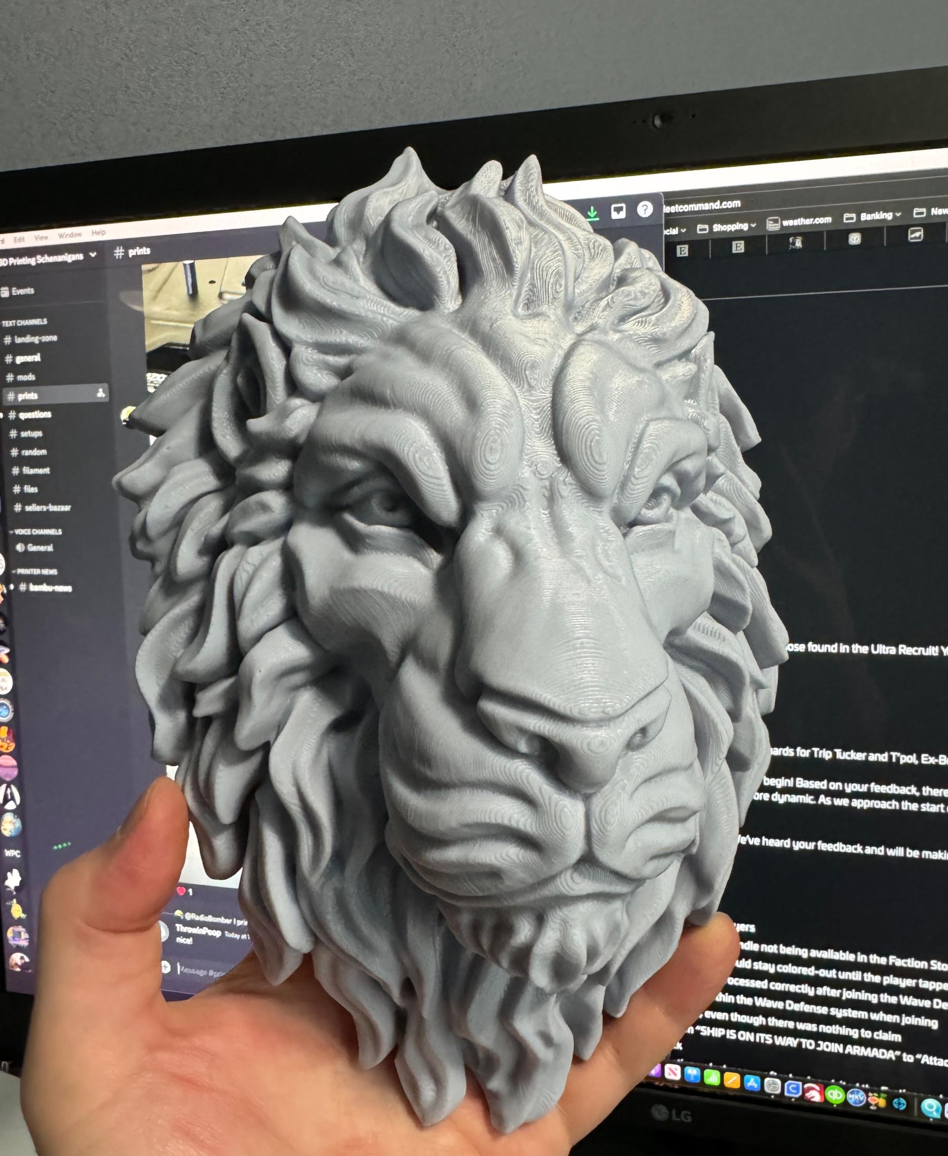 Lion - Wall Decoration - 0.3mm layers, 175%, 15% cubic infill, Ender 3 Pro - 3d model