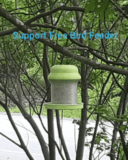 Bird Feeder - Support Free - Easy Print - With Drainage 3d model