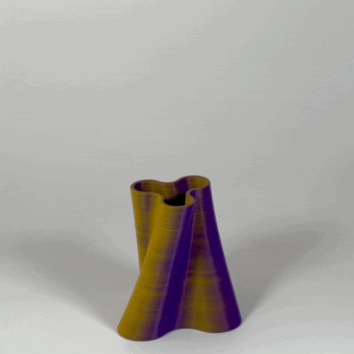Twist Vase for Dried Flowers 3d model