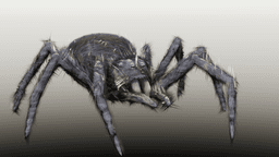 Spider Draft.blend 3d model
