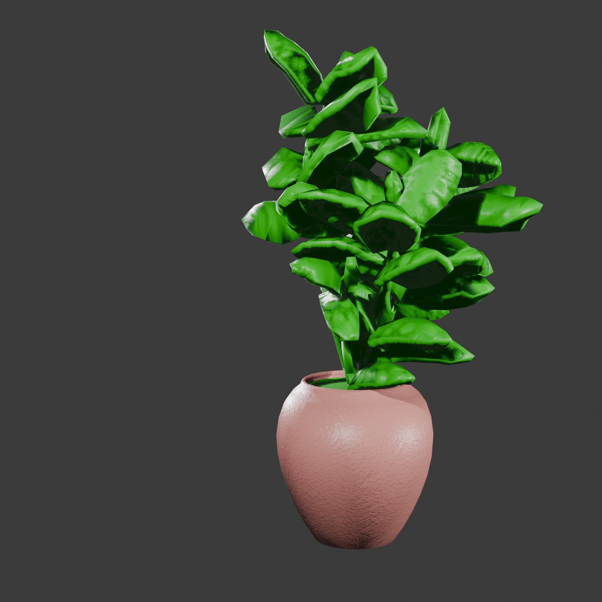 Potted Plant 3d model