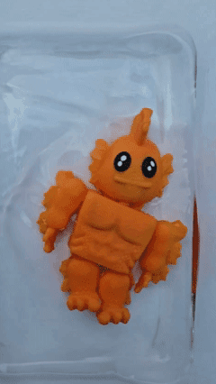 Fish-Boy Flexi 3d model