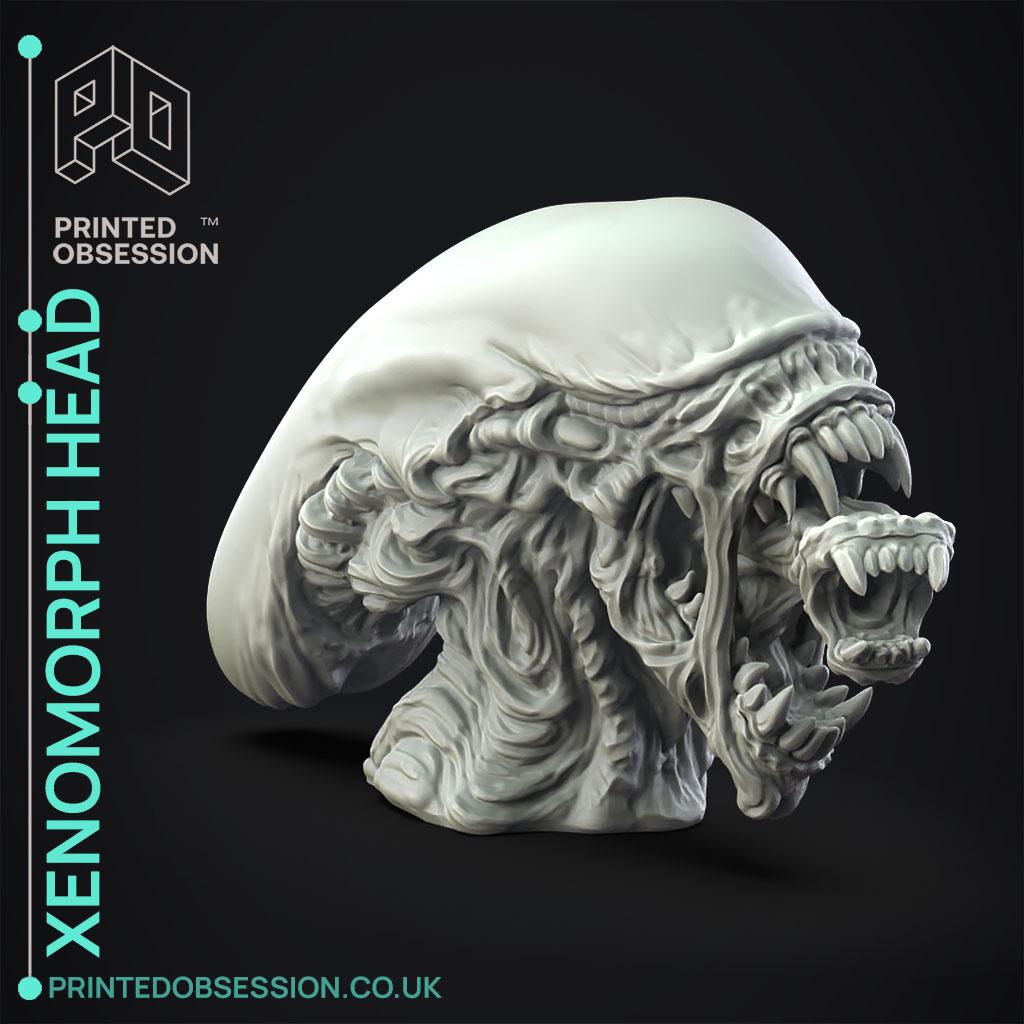 Xenomorph Head - Fan Art - Decoration 3d model