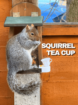 Squirrel Tea Cup 3d model