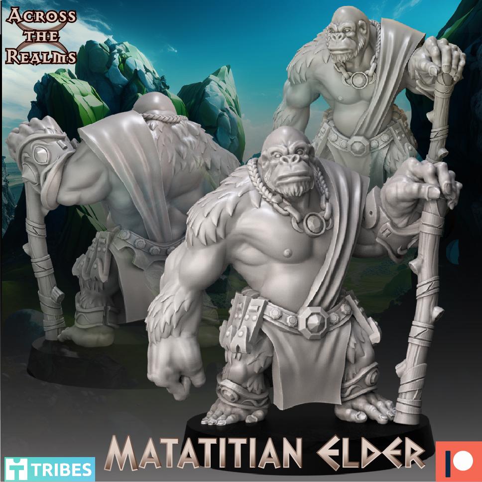 Matatitian Elder 3d model