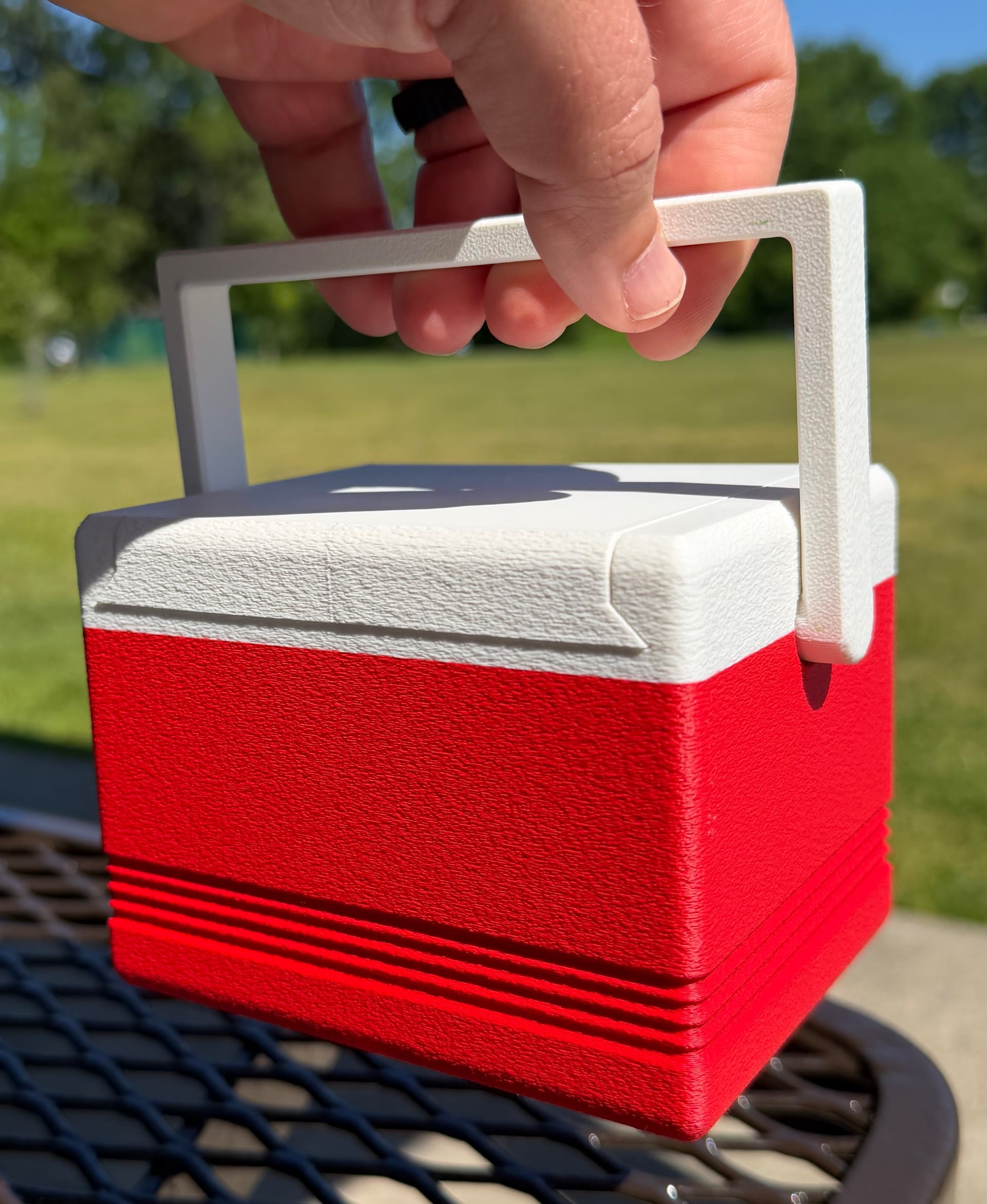 Lunch Cooler Deck Box 3d model
