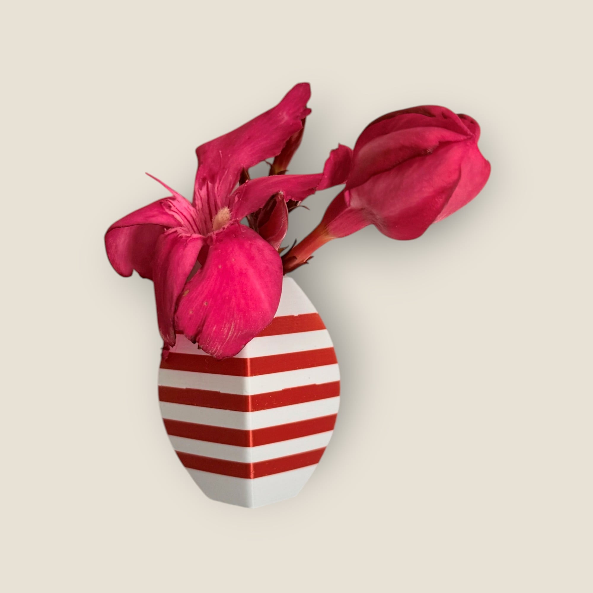 Tiny Magnet Vase Set 3d model