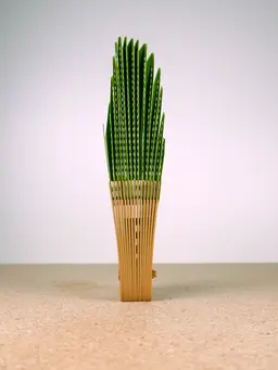 Folding Palm Hand Fan (Large) 3d model