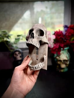 Skull light switch cover 3d model