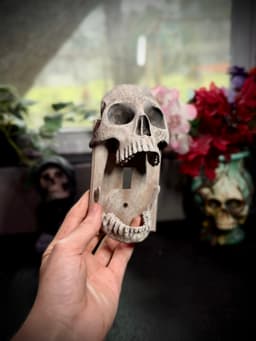 Skull light switch cover 3d model