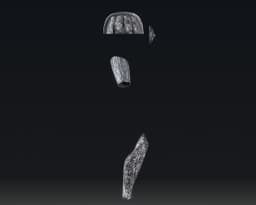 Tigris of Gaul Armor - 3D Print Files 3d model