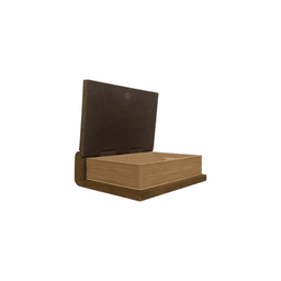 Dragons Book Storage 3d model