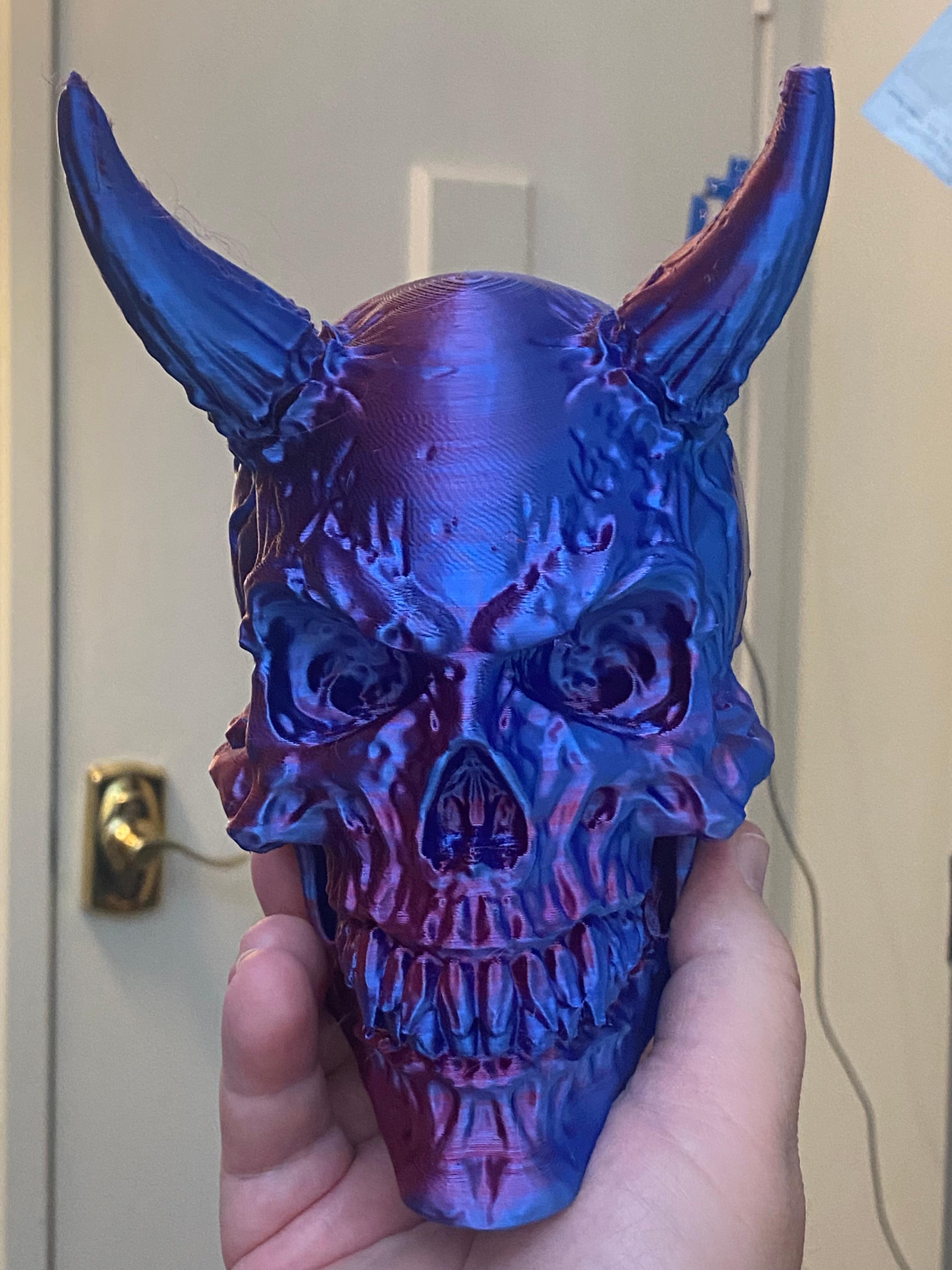Demon Skull - Decoration - Lost a tip of one of the horns, but still came out looking great - 3d model