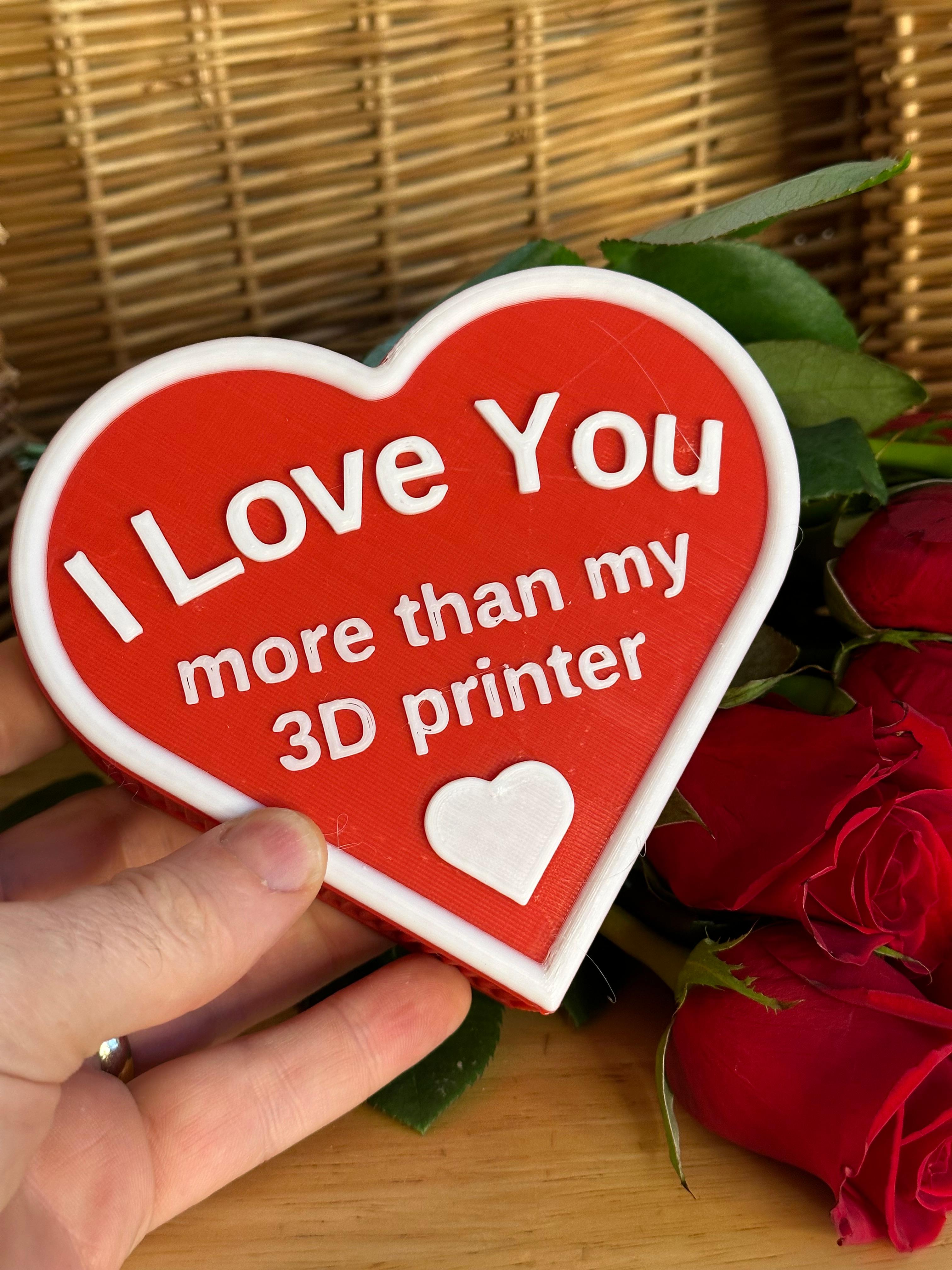 I Love You More Than My 3D Printer 3d model