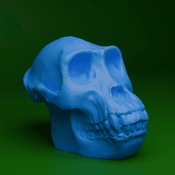 Gorilla Skull (MysticMesh3D) 3d model