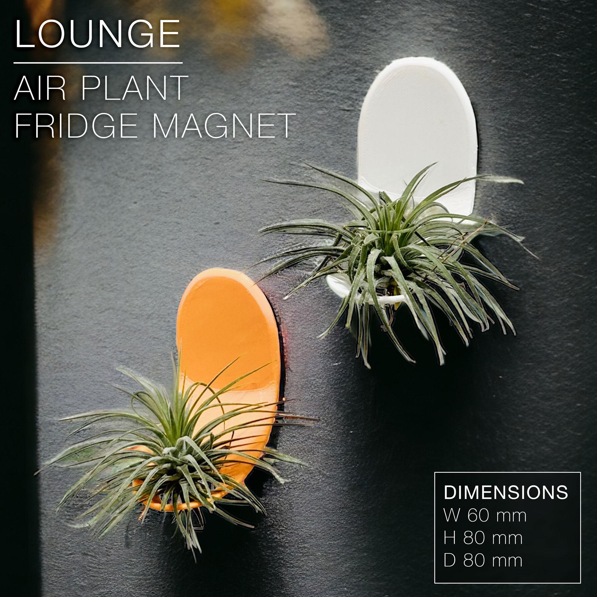 LOUNGE | Air Plant Holder Fridge Magnet 3d model