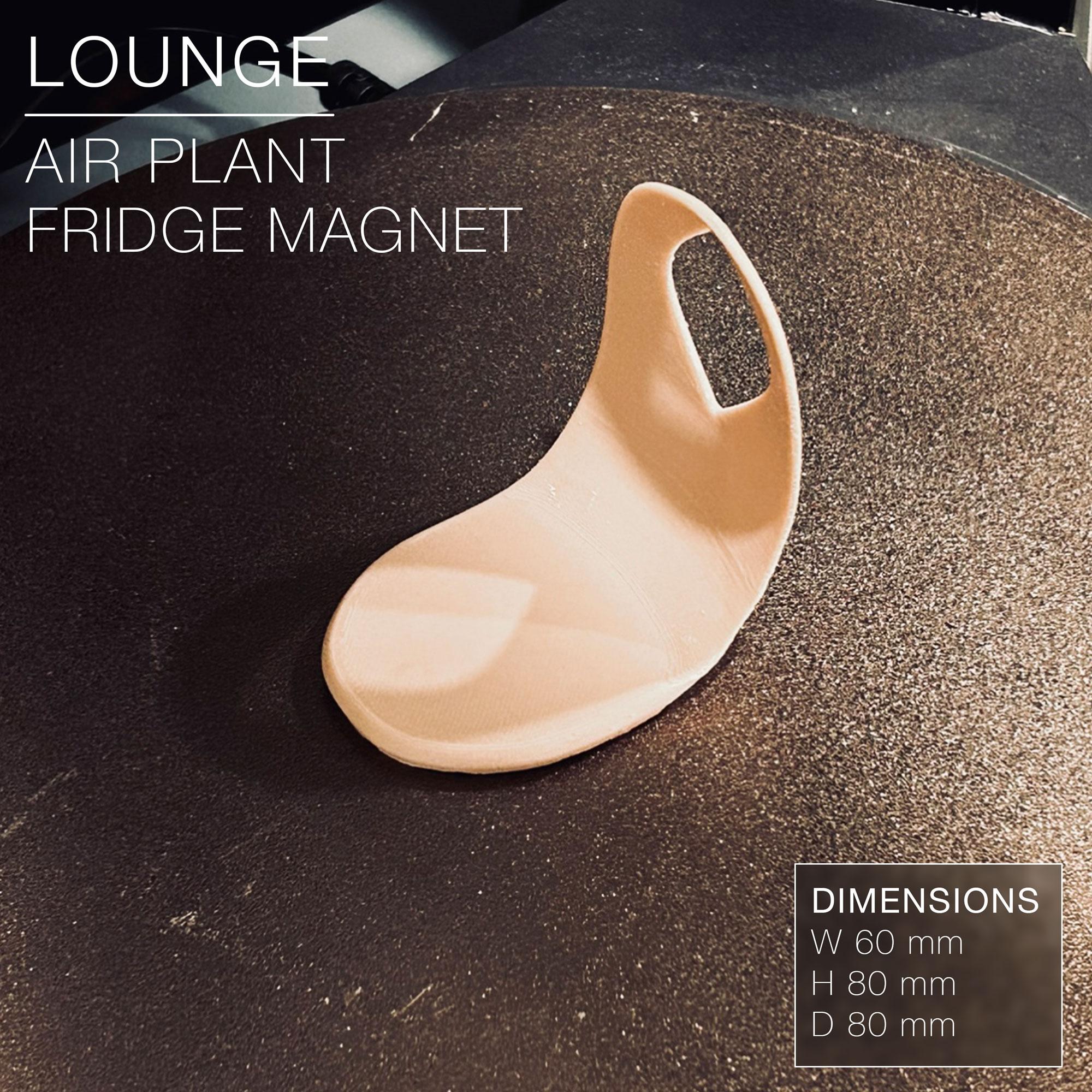 LOUNGE | Air Plant Holder Fridge Magnet 3d model