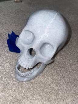 Human skull with moving Jaw.3mf 3d model