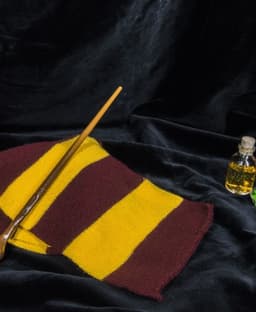 Remus Lupin’s Wand - Harry Potter 3d model