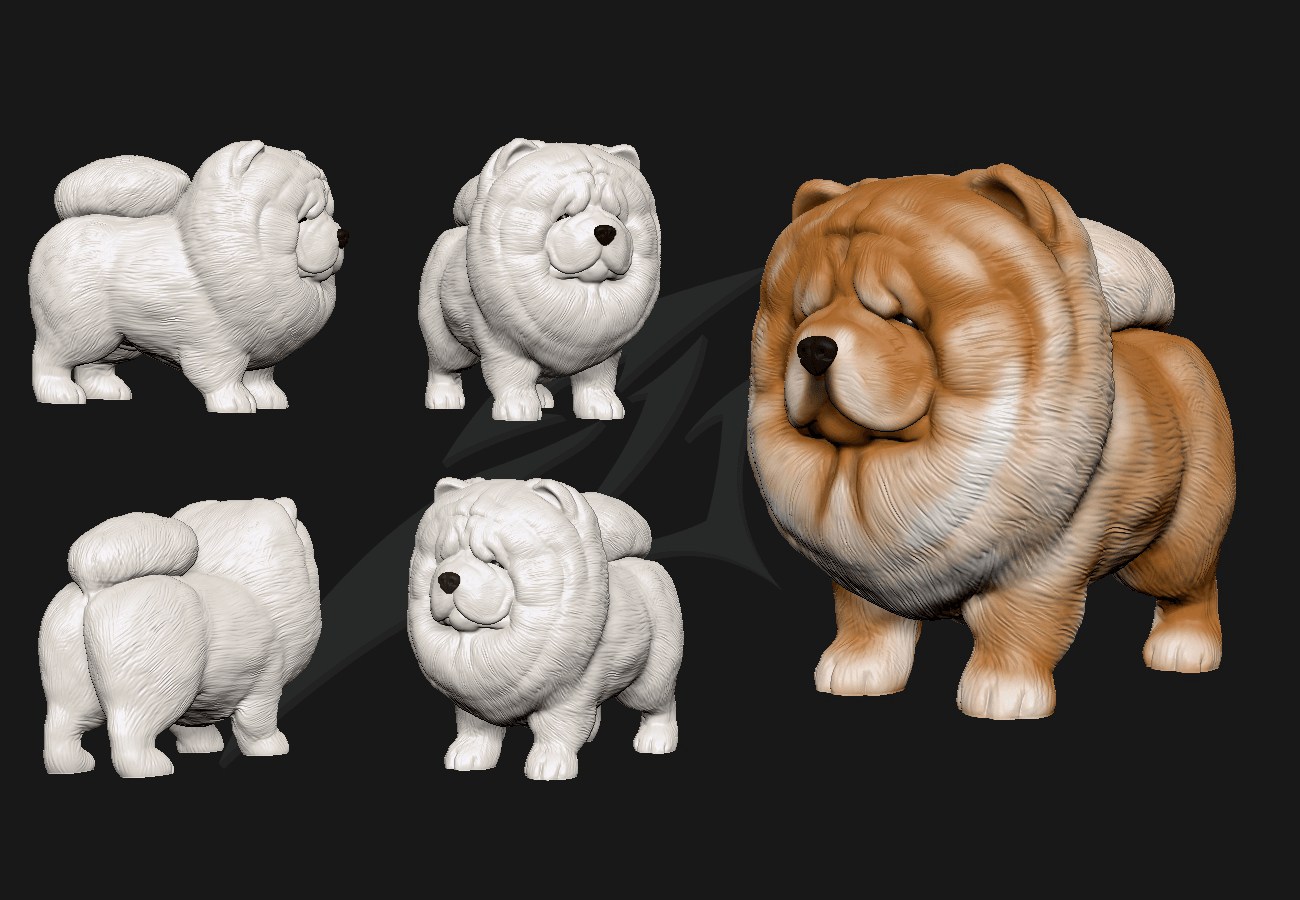 Cute ChowChow 3d model