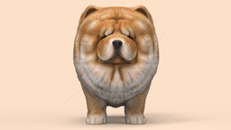 Cute ChowChow 3d model