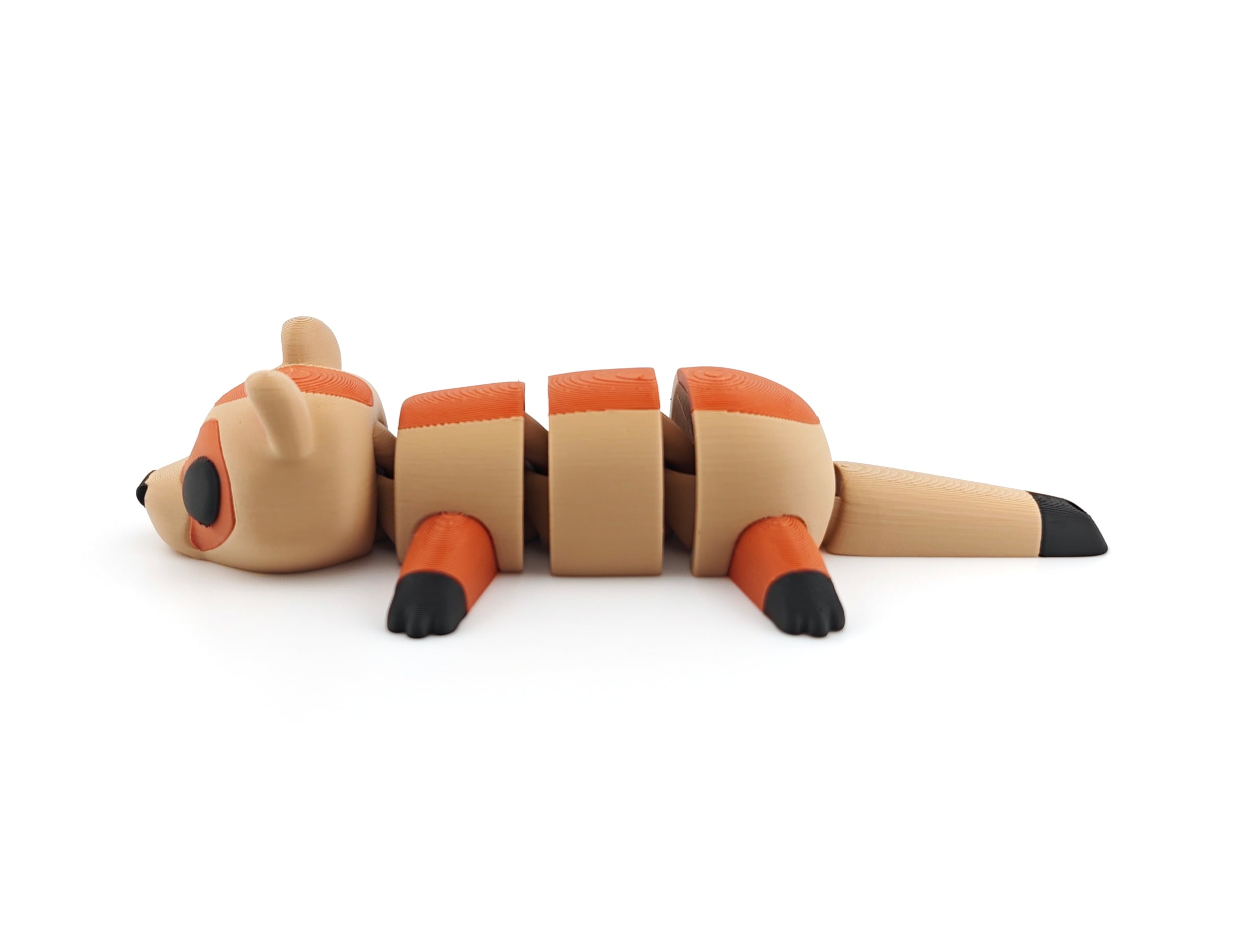 Ferret 3d model