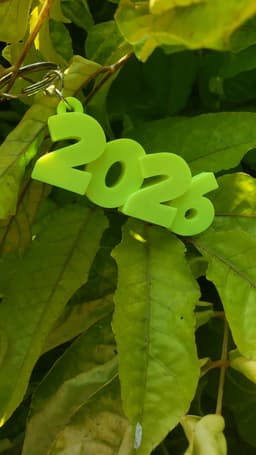 KEYCHAIN 2026.3mf 3d model