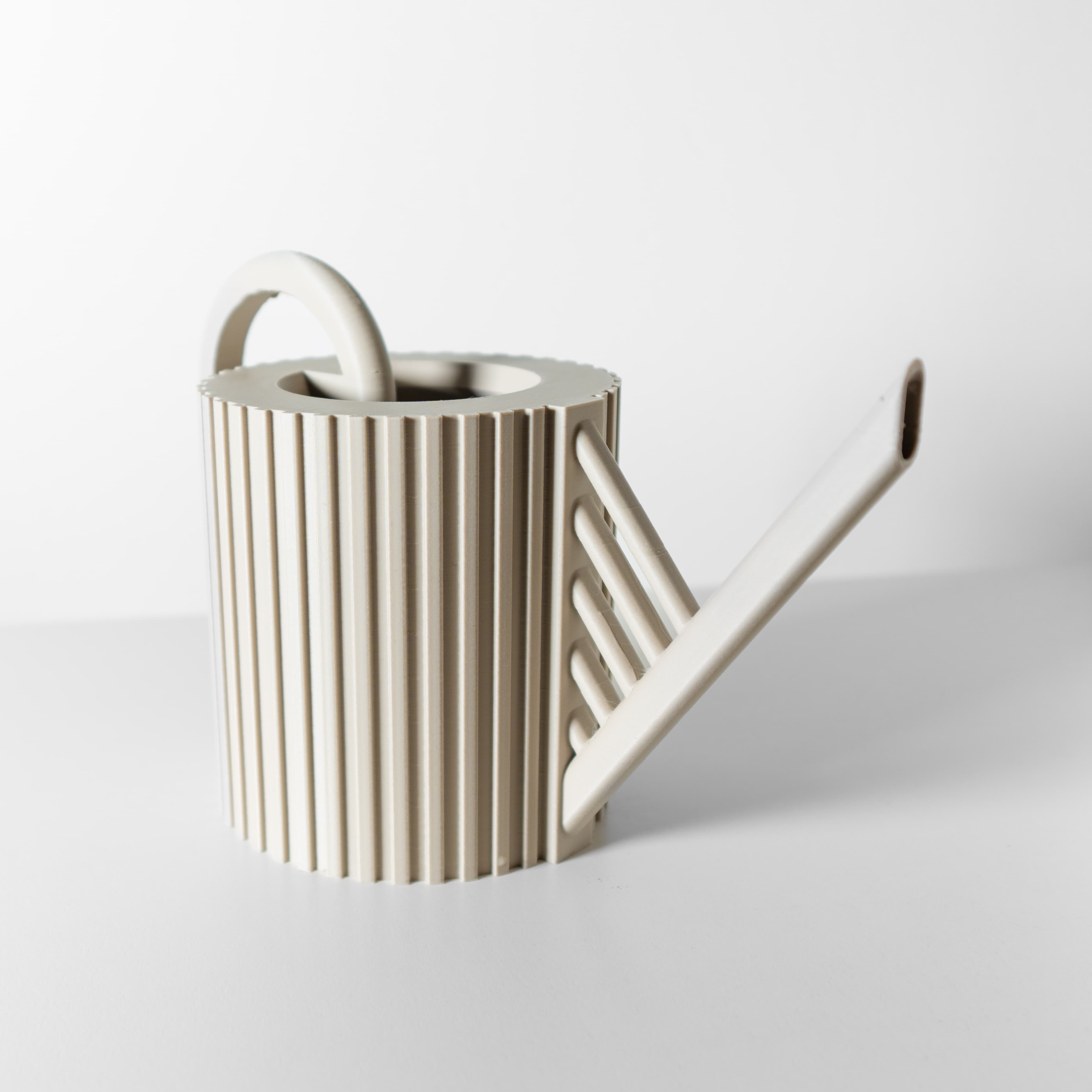 The Ajor Watering Can for Houseplants, Flowers, and Succulents | Unique Home Decor for Plants 3d model