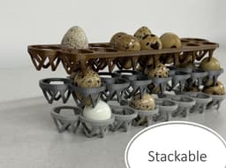 STACKABLE COTURNIX QUAIL EGG TRAY (MEDIUM) 3d model