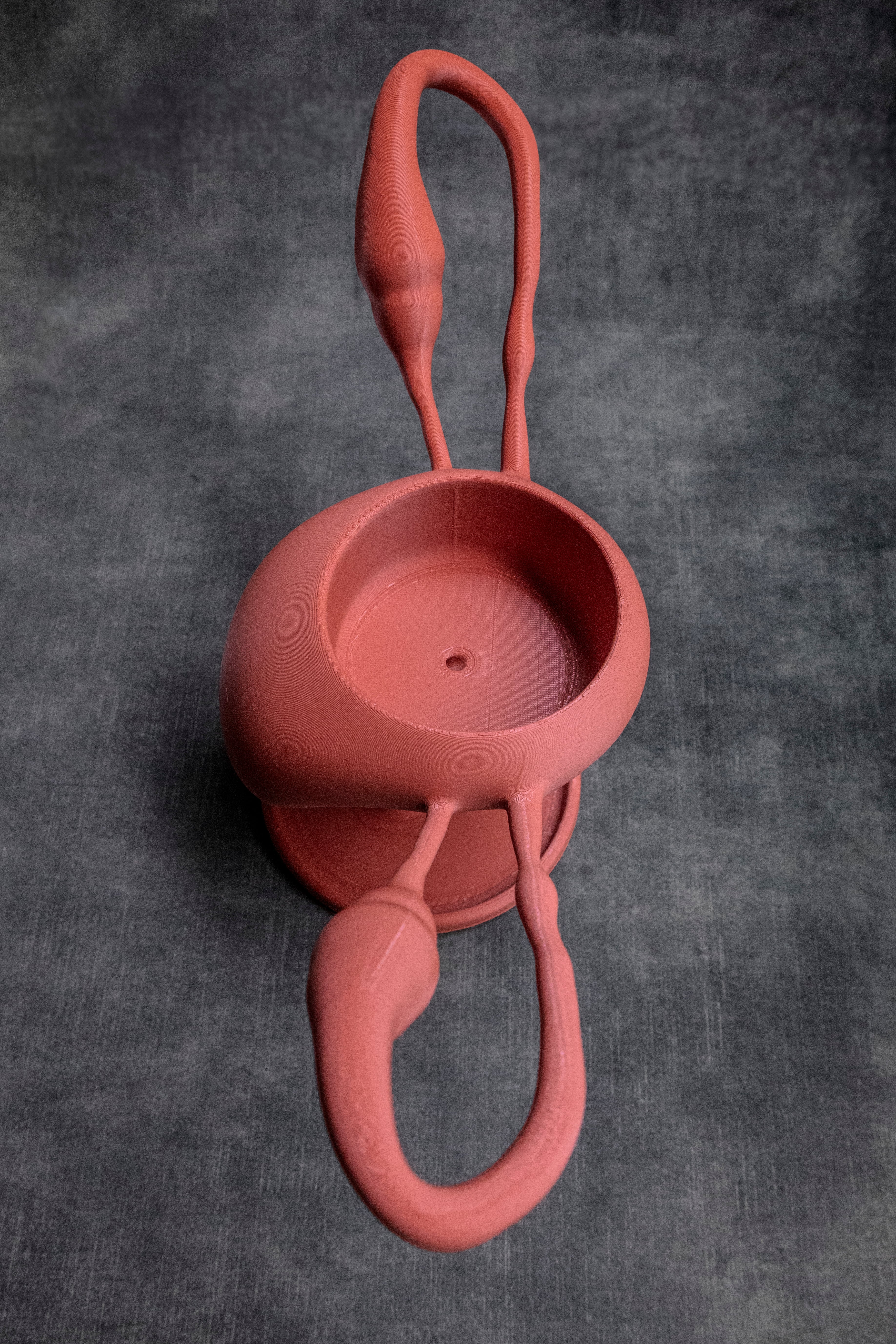 Uterus Pot (Pre Supported) 3d model