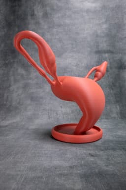 Uterus Pot (Pre Supported) 3d model