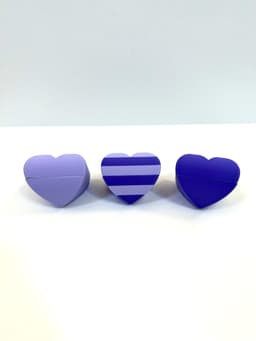 2-in-1 Heart Fidgets (2 Styles) 3d model