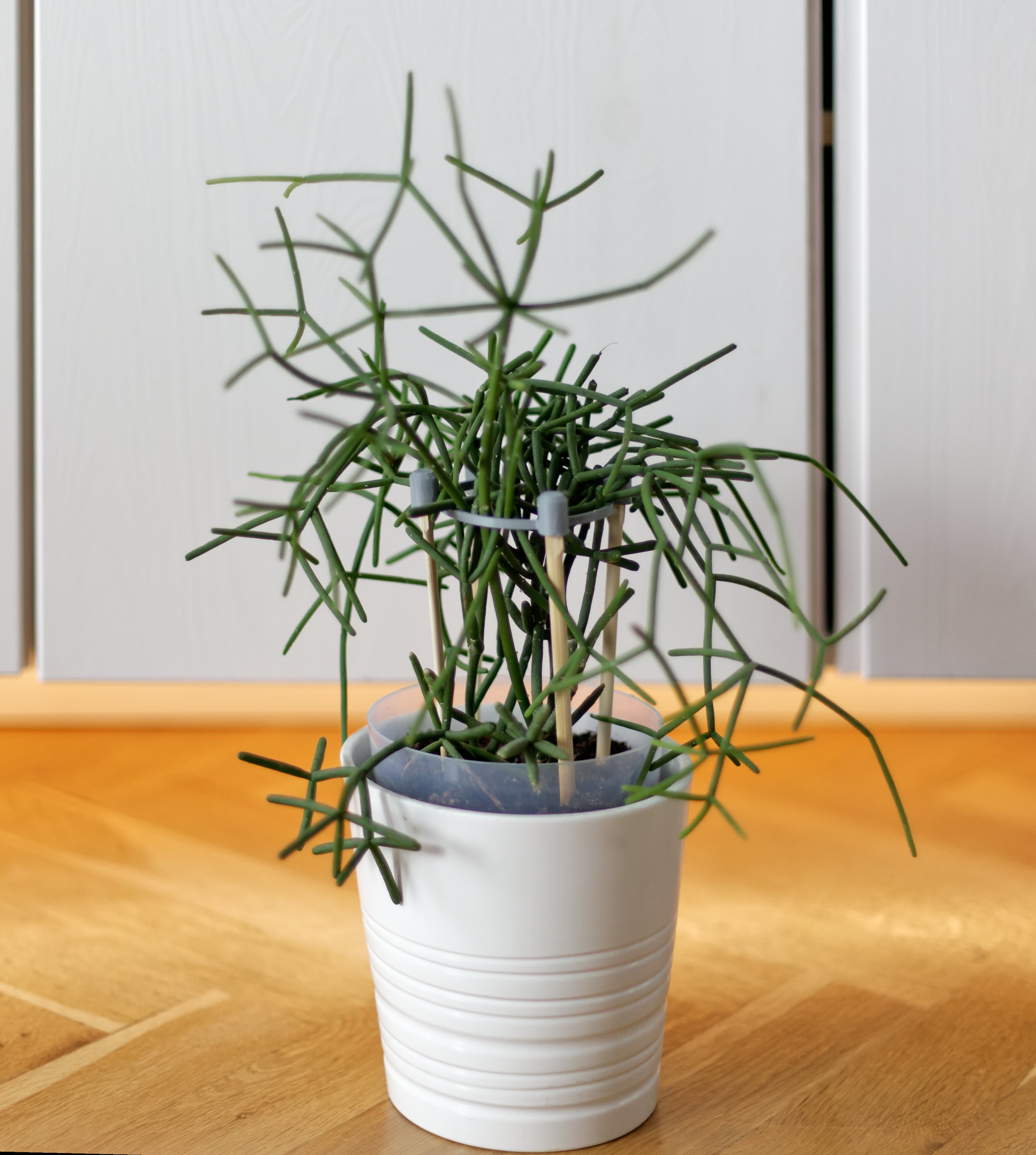 Flower supports 3d model