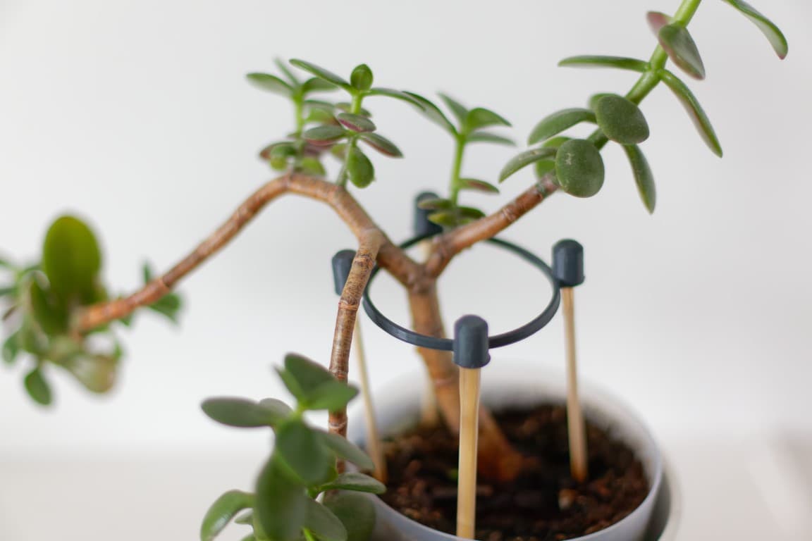 Flower supports 3d model
