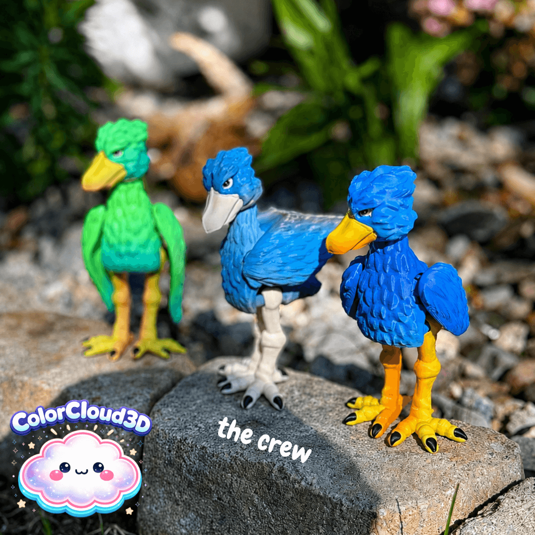 Shoebill Stork 3d model