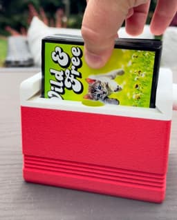 Lunch Cooler Deck Box 3d model