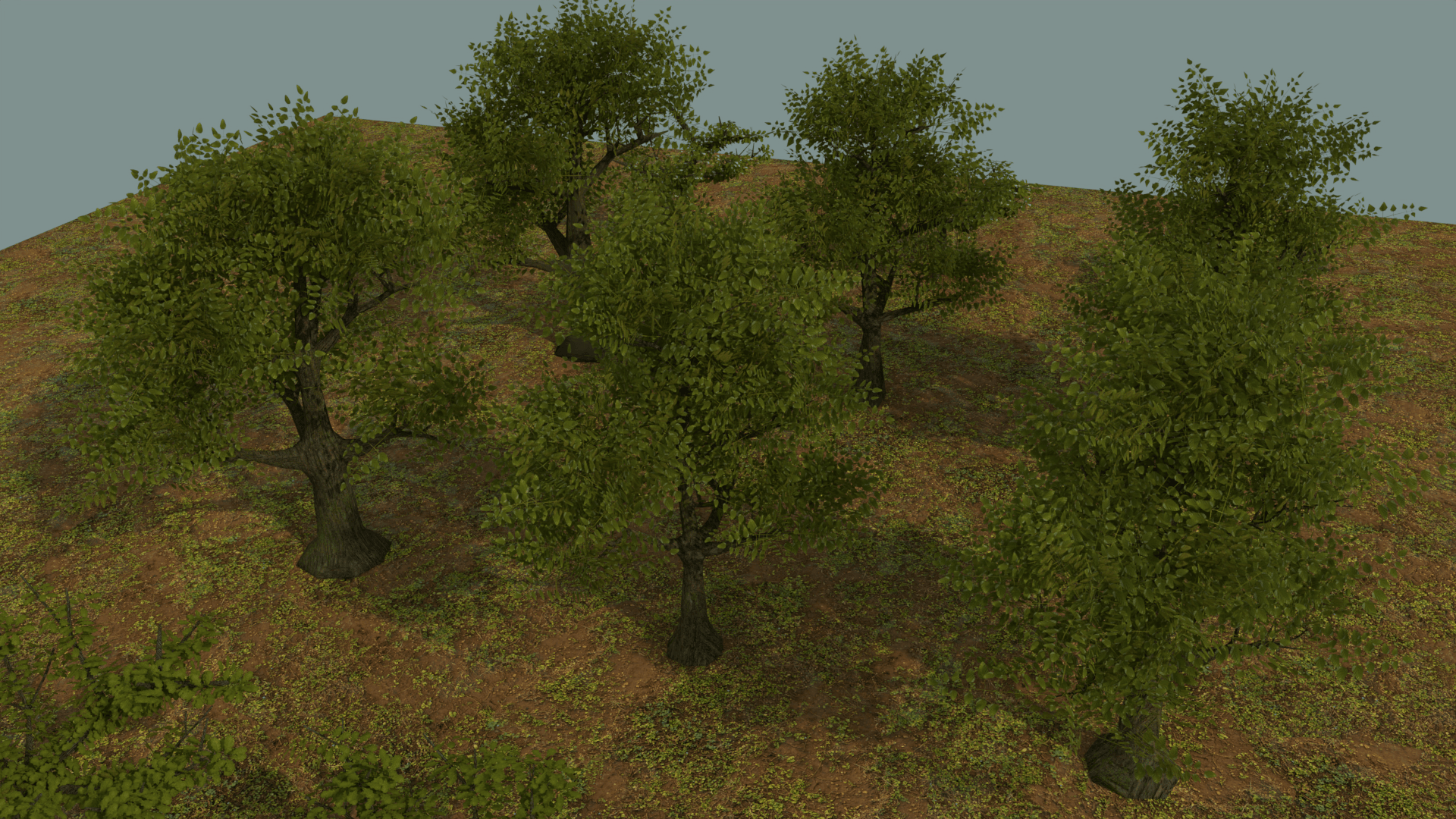 80 DETAILS OF FLOWERS GRASS AND TREES 3d model